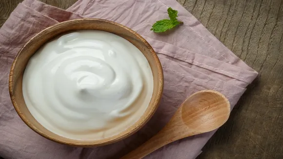 Yogurt Curd
