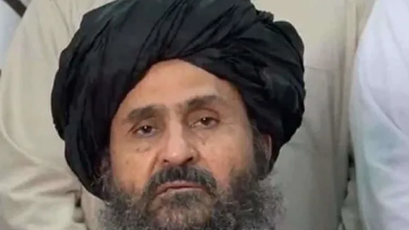 mula bradar