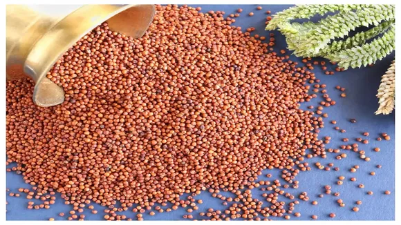 Ragi Flour