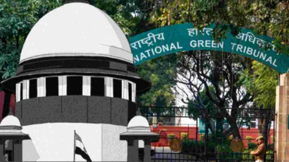 SC NGT