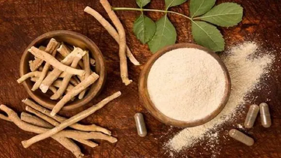 Ashwagandha Benefits
