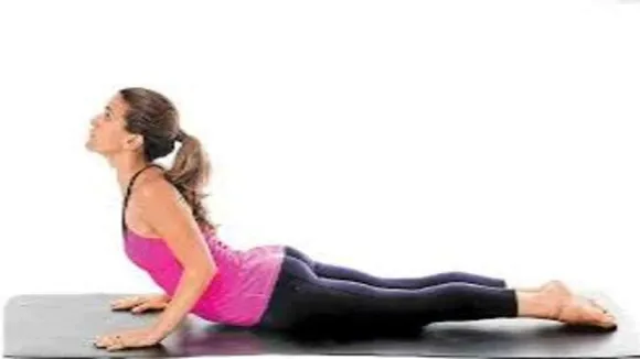 bhujangasana pic 78768768