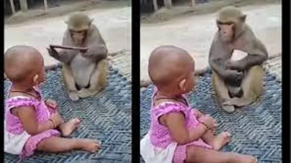 viral