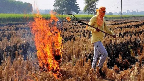 Stubble burning