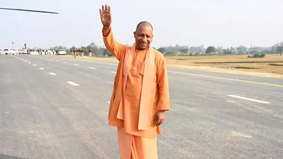 yogi