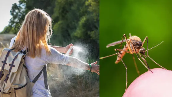 Home remedies for removing mosquito
