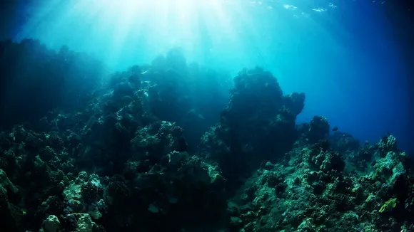 Underwater Scene