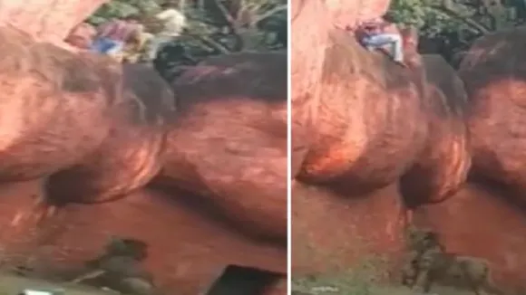 Man rescued from African lion s enclosure