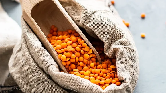 moong dal benefits during uric acid problem