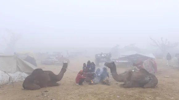 Cold in Rajasthan
