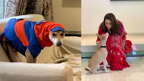 Madhuri Dixit Dog lover