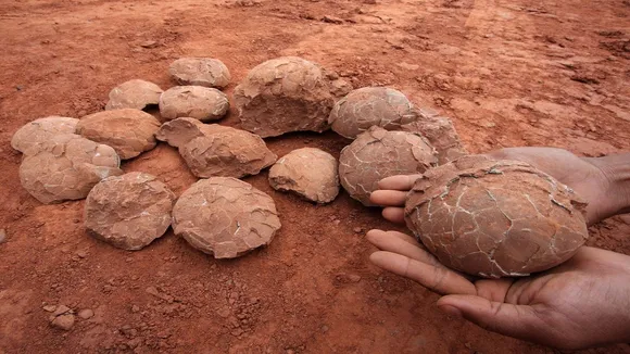 dinosaurs egg