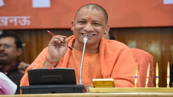 yogi