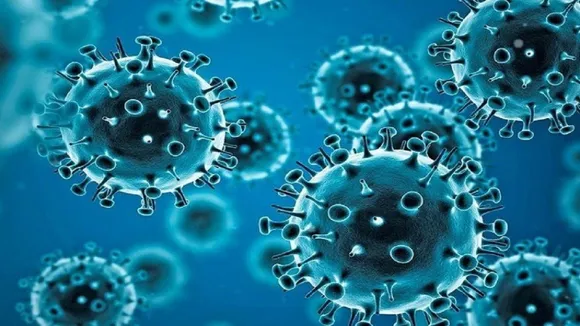 Coronavirus Cases in Delhi