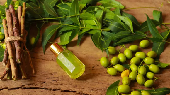 olive leaves