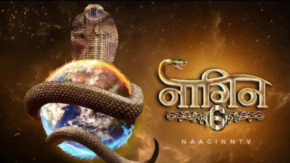 naagin 6