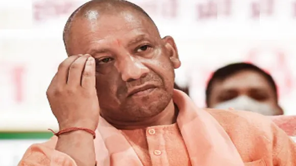 yogi