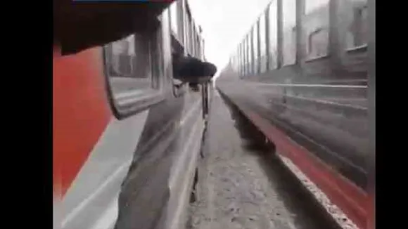 Horse stuck in two trains