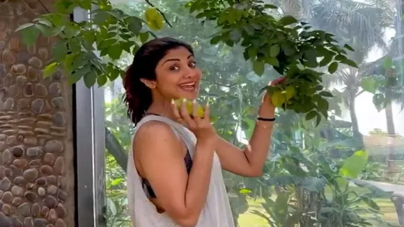 shilpa video