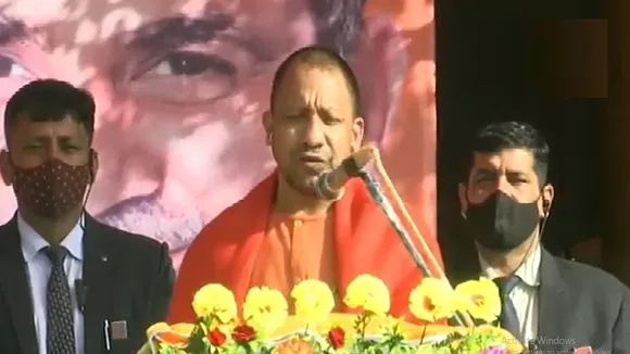 yogi