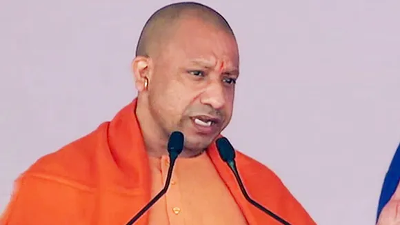 yogi