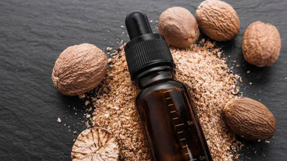 Jaiphal Oil Benefits in Hindi