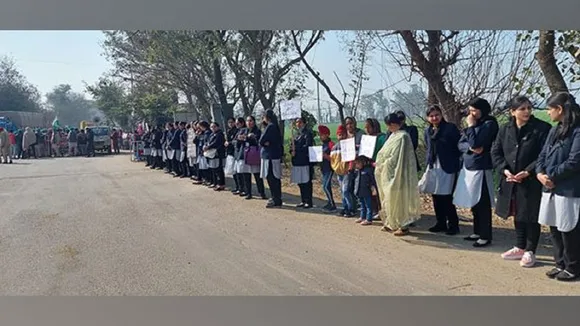 punjab teachers