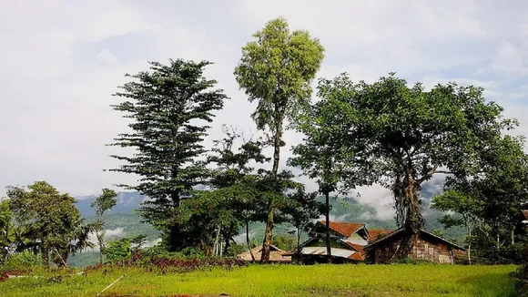 longwa1