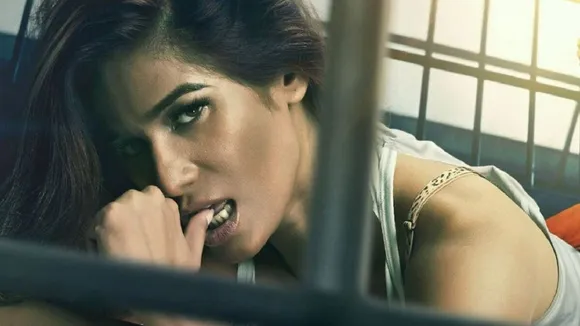 poonam pandey lock upp interview re