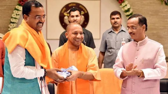 yogi new