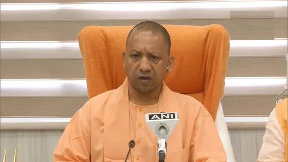 yogi