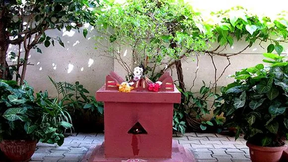 tulsi plant vastu tips
