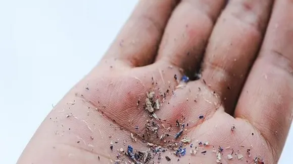 microplastic in human blood