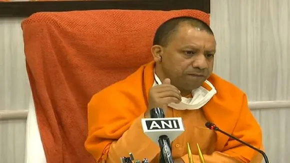 yogi