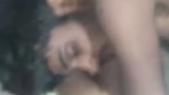 Thief drinks alcohol  dozes off and lands up in jail