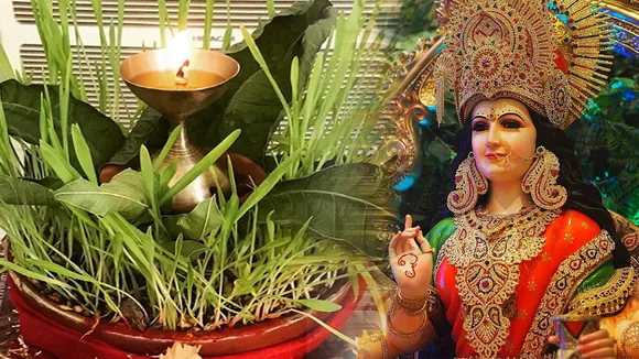 नवरात्रि में बोए जाने वाली पवित्र जौ है माता रानी के भाई का प्रतीक