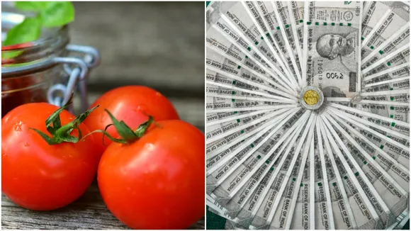 Tomato Sauce Business