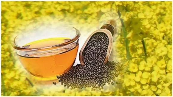 Mustard oil Latest Update