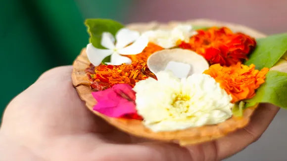 Vastu Tips For Dried Flower