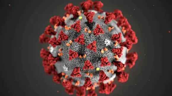 corona virus
