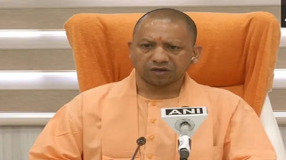 yogi