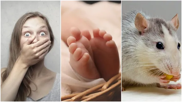 New Born Bitten By Rats