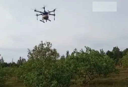 drone