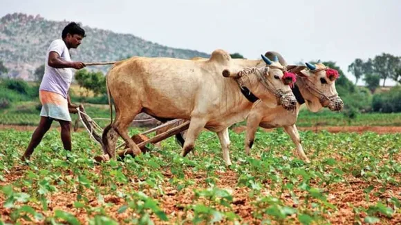 kisan SAMMAN