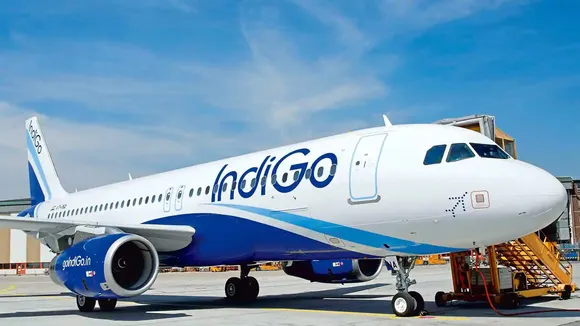 indigo