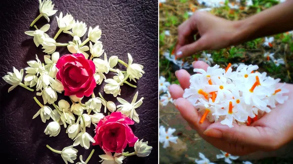 Stress Removal Flowers