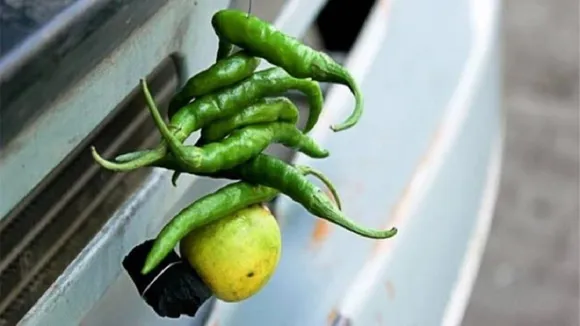 Scientific Reason Behind lemon Chilli Outside Shop