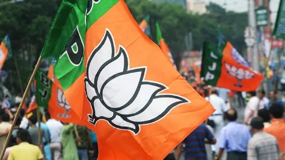 bjpflag