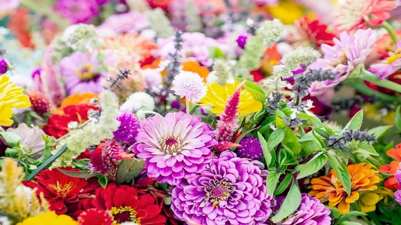 Grah Shanti Flower