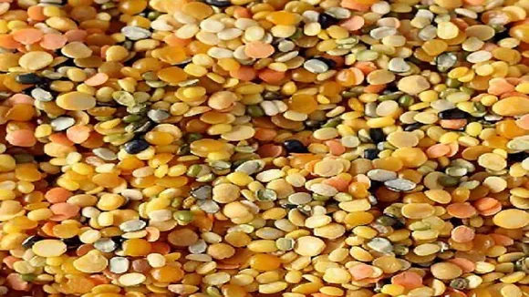 daal